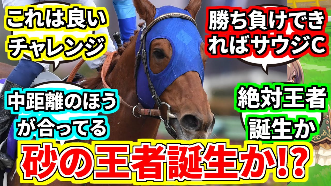 『レモンポップ、次走はチャンピオンズCに決定』に対してのみんなの反応集【競馬の反応集】
