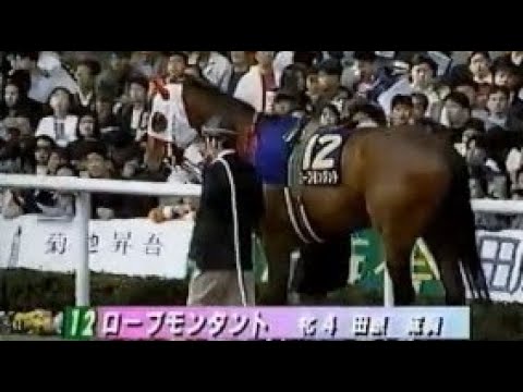 第５４回　桜花賞 （ＧⅠ）　パドック　1994.4.10　　出走馬：ローブモンタント、ノーザンプリンセス、オグリローマン、アグネスパレード、ナガラフラッシュ、ゴールデンジャック他