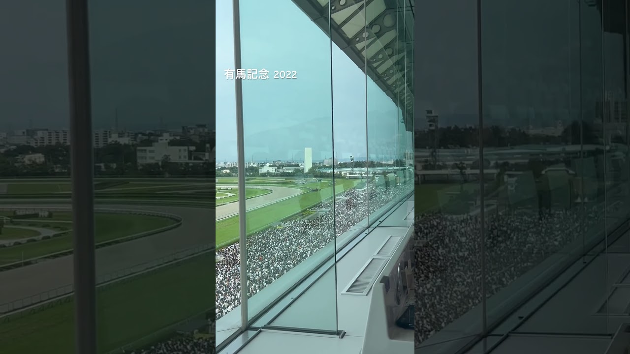 【有馬記念】中山の見やすい風景からの2022 有馬記念回顧　#有馬記念2022 #中山競馬場 #有馬記念