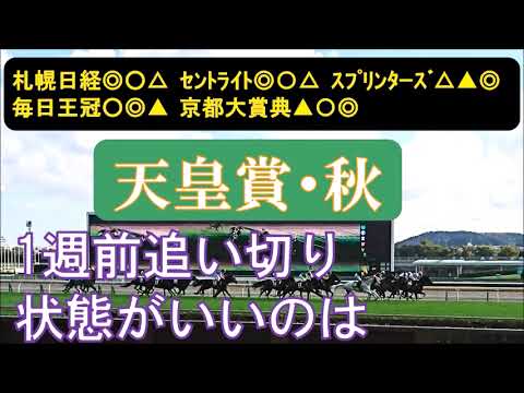 天皇賞秋2023　1週前追い切り　中間の調整過程など、