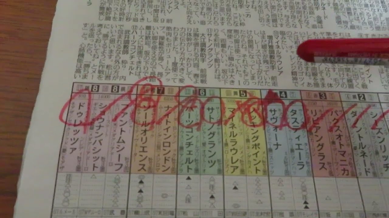 菊花賞　反省ダイジェスト～