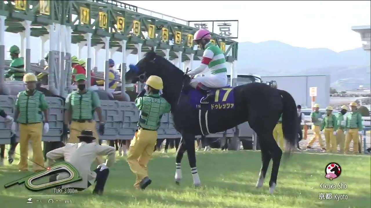 2023/10/22 菊花賞【G1】