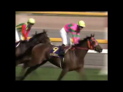 2006年 オークス(優駿牝馬) カワカミプリンセス