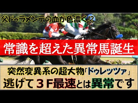 【一口馬主】ズルい程の強さを発揮！ドゥレッツァが逃げて最速３F、他馬と異次元の強さで菊花賞を制覇☆