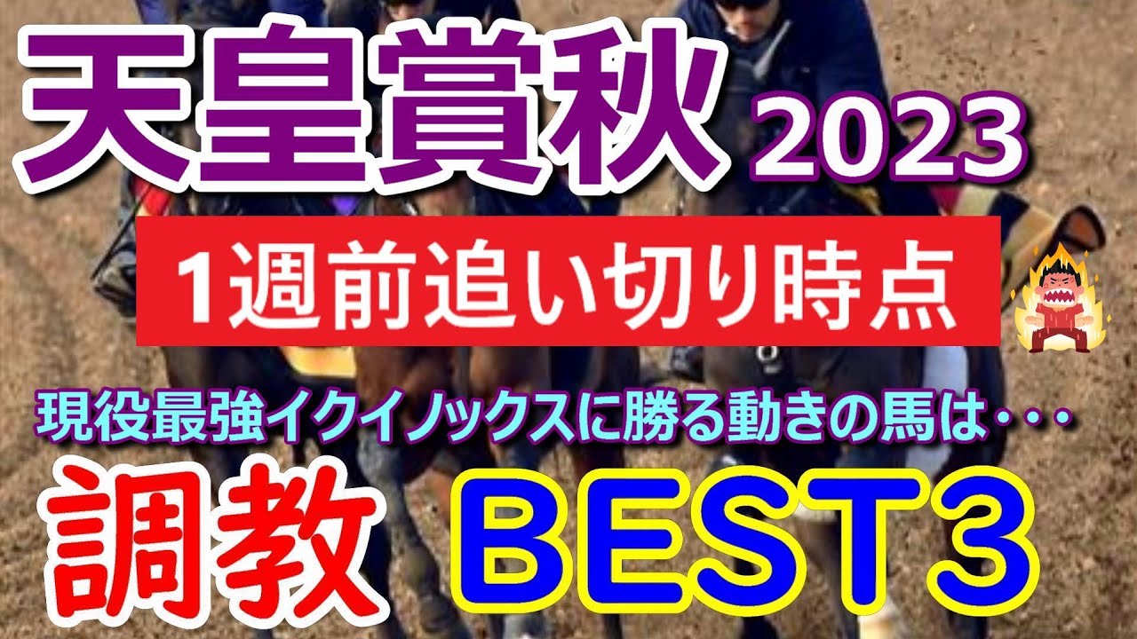 【天皇賞秋2023】現役最強馬イクイノックスにダービー馬ドウデュース、2冠牝馬スターズオンアース、大阪杯馬ジャックドールなどG1馬がズラリ。超豪華メンバー!!!【調教BEST3】