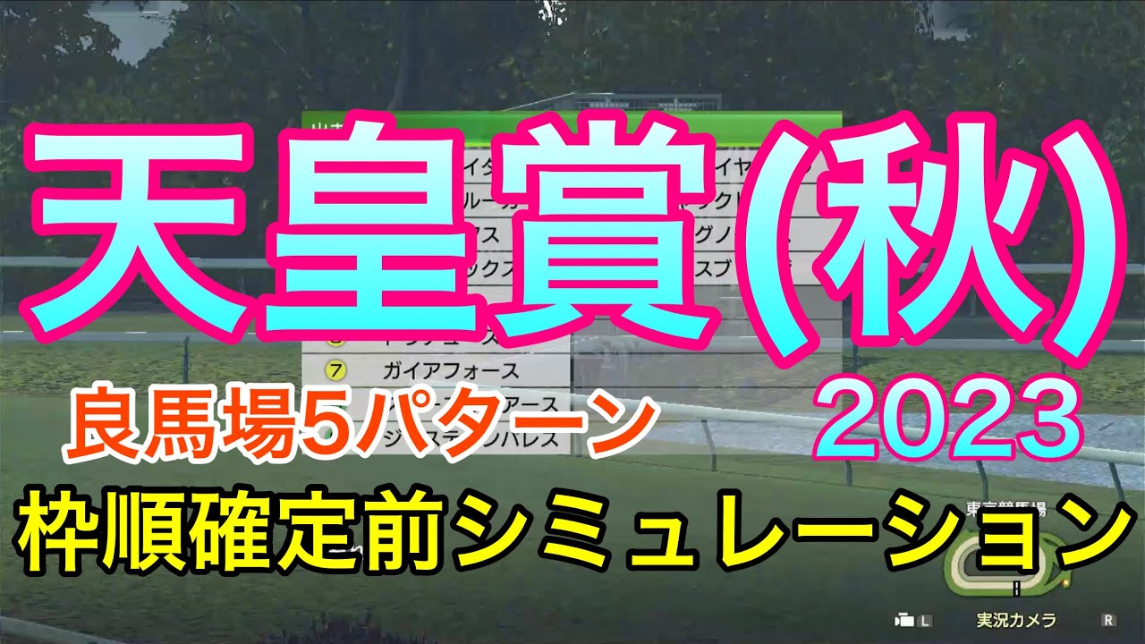 天皇賞秋2023 枠順確定前シミュレーション 《良馬場5パターン》【 競馬 】