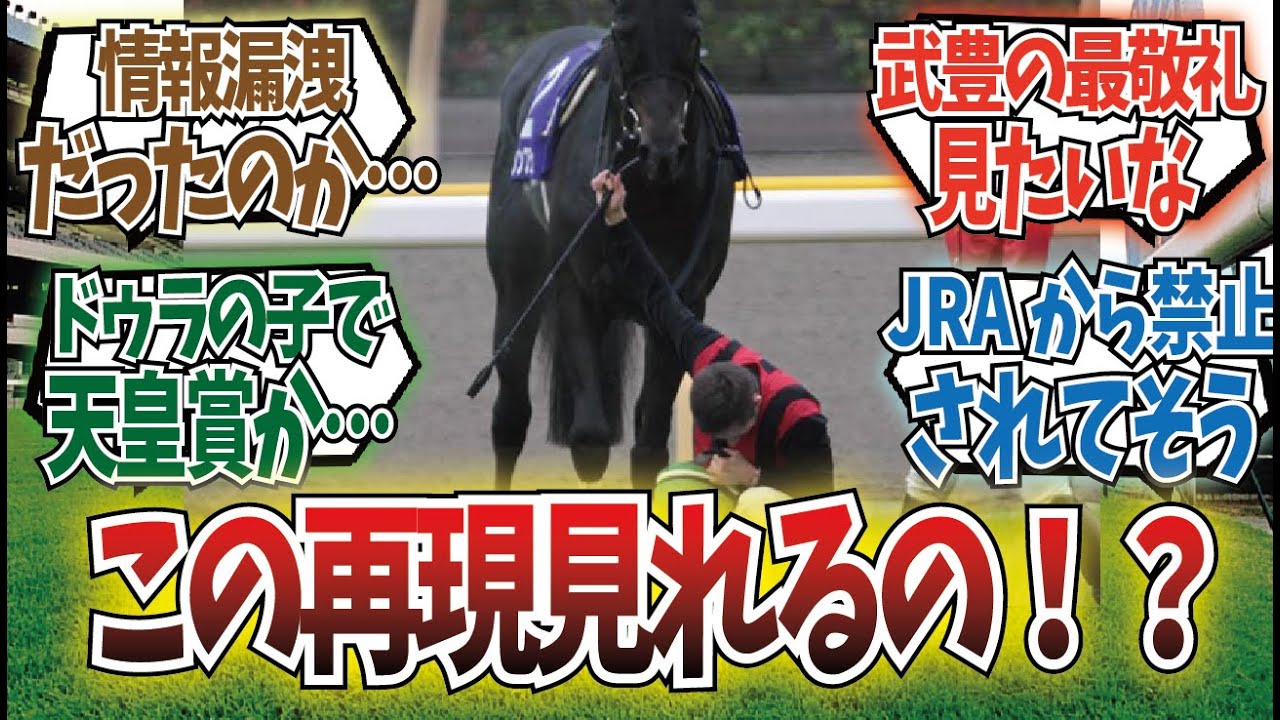 「天皇賞秋、天覧競馬はデマではなかった」に対するみんなの反応集