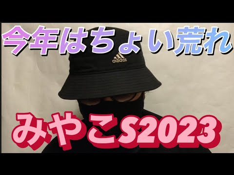 【みやこステークス2023】セラフィックコールが重賞初挑戦！ウィリアムバローズとの対決に注目！キリンジが勝つのか？若き挑戦者が大物を狙うのか？どうなるみやこS 副業勝確競馬🏇#309