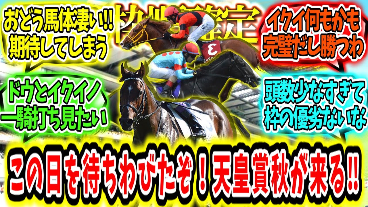 『【枠順確定】この日を待ちわびたぞ！天皇賞秋が来る‼』に対するみんなの反応【競馬の反応集】