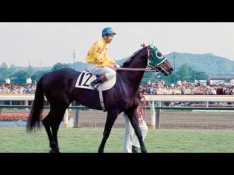 第４２回　東京優駿（日本ダービー）　カブラヤオー　牡３　57　菅原泰夫　1975.5.25　　出走馬：ロングフアスト、ハーバーヤング 、ハクチカツ、イシノアラシ、ロングホーク、ハクサンチトセ他