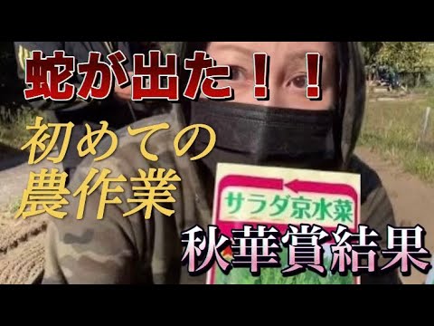 蛇が出た！！【初めての農作業】50代女の日常　秋華賞結果