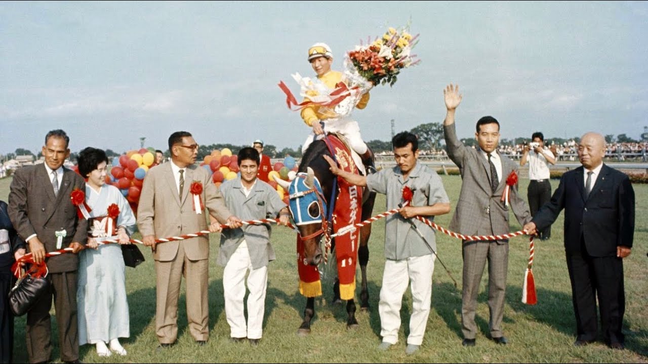 第３５回　東京優駿（日本ダービー）　タニノハローモア　牡３　57　宮本悳　1968.7.7　出走馬：タケシバオー、アサカオー、マーチス、ジンライ、ライトワールド、コマカブト、タマノオー、マンザンオー他