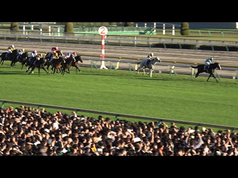 【天皇賞秋2023】イクイノックス連覇 『1分55秒2』 脅威のレコードタイムに場内騒然！【現地レース映像】