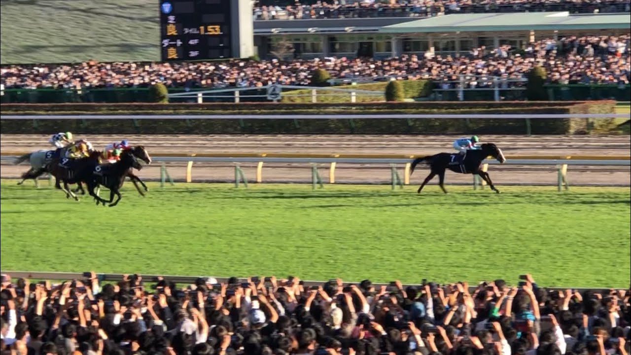 《天覧競馬》【現地】イクイノックス 2023 天皇賞(秋) 驚異の世界レコード1.55.2