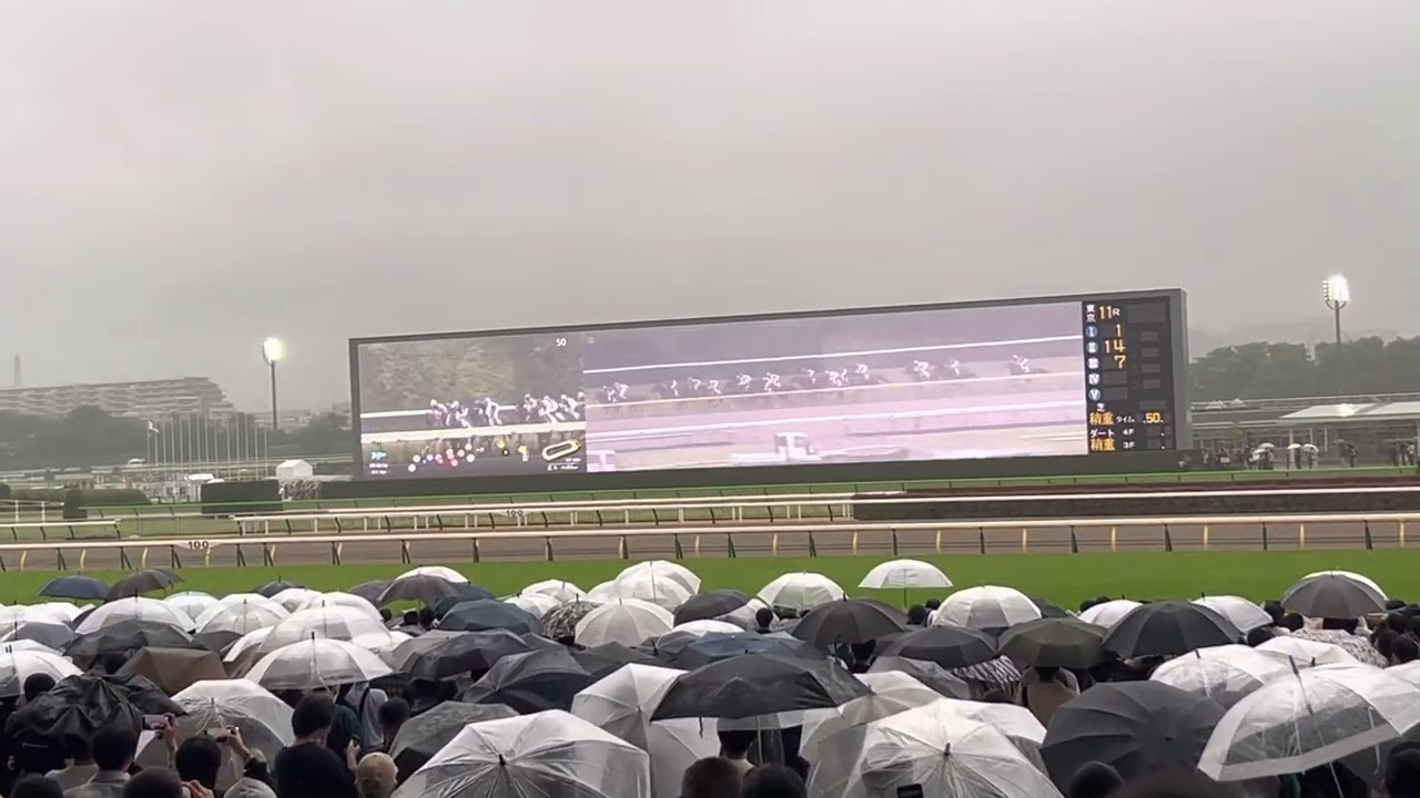 NHKマイルカップ2023【現地映像】