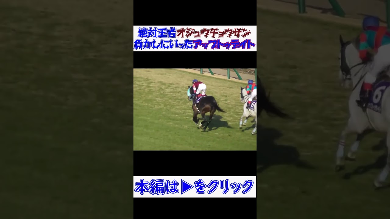 中山大障害の思いで 絶対王者を負かしにいったアップトゥデイト
