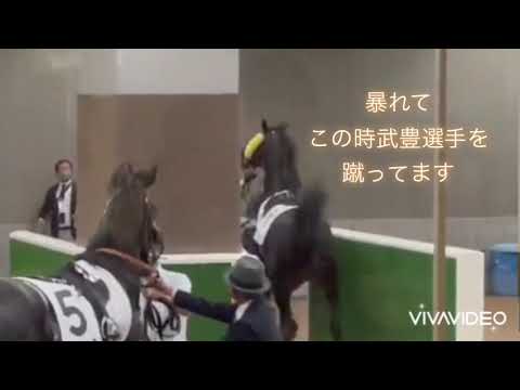 天皇賞秋　武豊選手の負傷シーン　目撃者の動画はわかりにくいからわかりやすくしました