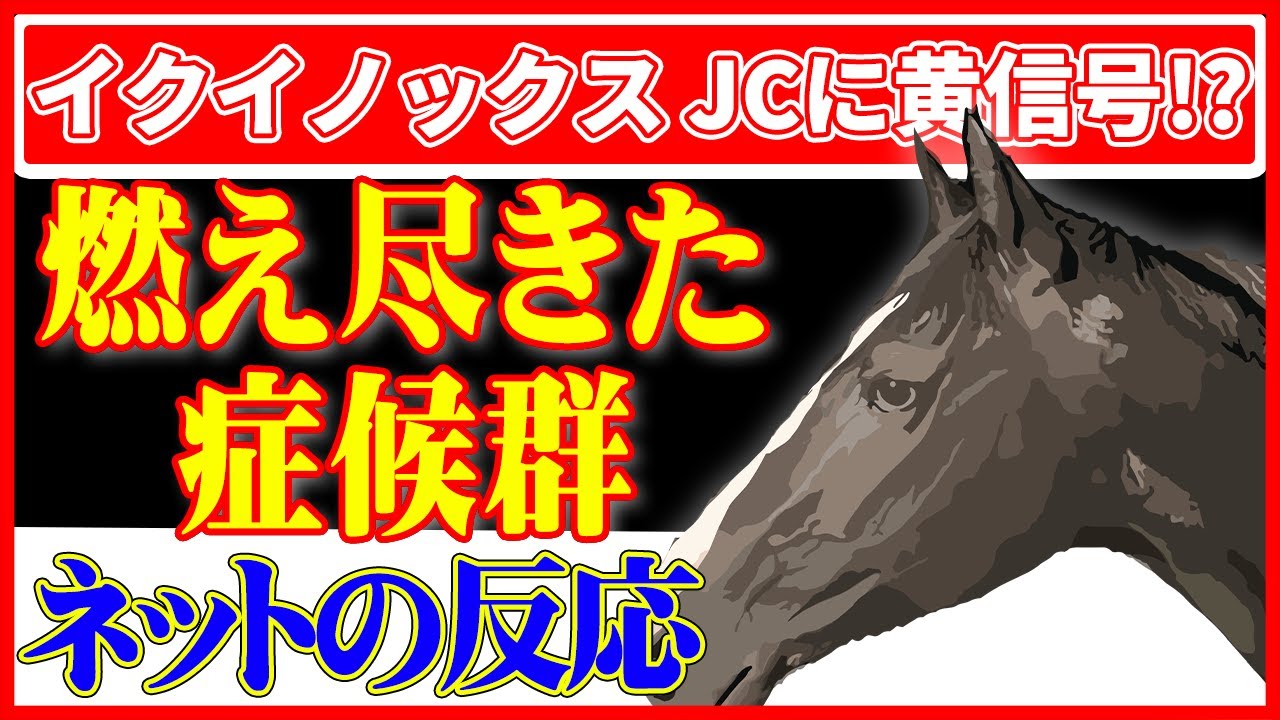 【競馬の反応集】イクイノックスが天皇賞・秋のレース後の反動がかなりヤバいみたいです！？それは本来の闘争心が消えかけているかも！？(ネットの反応）（天皇賞）（秋競馬）（ウマ娘）