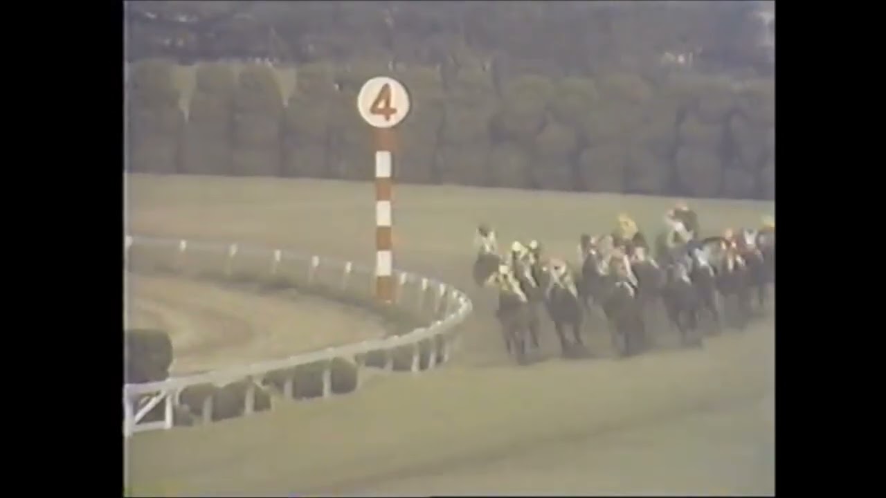 第２９回　桜花賞　ヒデコトブキ　牝３　55　久保敏文　1969.4.13　　出走馬：トウメイ、セプターシロー、ダッシュウエー、マジョルカ、ファインハピー、ストローハット、ライトパレー、ハッピータイト他