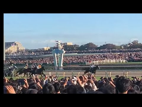 【天皇賞2023】衝撃のレコード！！ノーカット現地映像 現地煽りＶからウイニングランまで