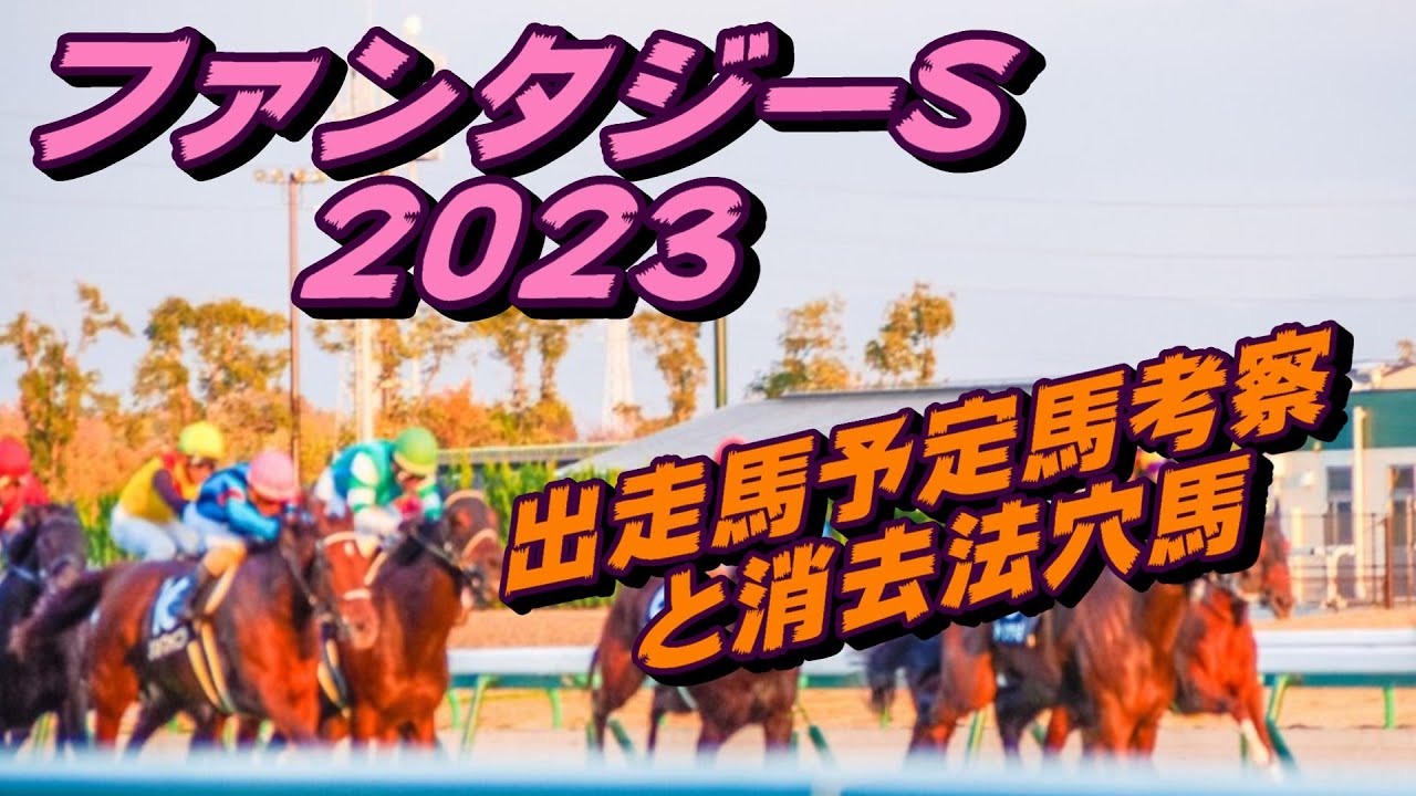 【ファンタジーステークス】出走馬予定馬データ分析と消去法予想