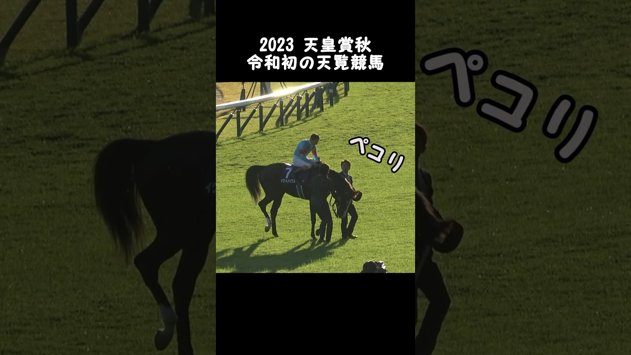 【天皇賞秋2023】天皇皇后両陛下へ真っ先に最敬礼をするイクイノックスさん【現地】 #競馬 #キタサンブラック