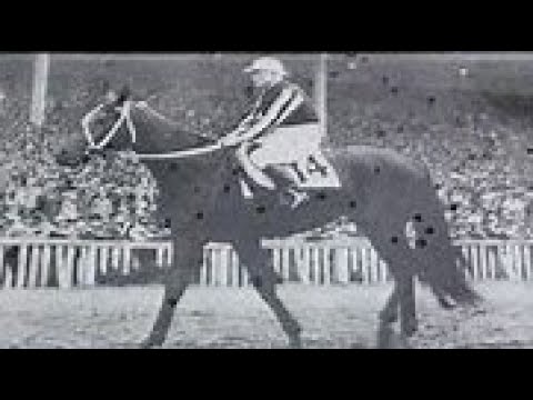 第１７回　東京優駿（日本ダービー）　クモノハナ　牡３　57　橋本輝雄　1950.6.11　　出走馬： キミガヨ、 アンダーフエア、ミナトクヰン、 ハタカゼ 、ハリウツド、ヒデニシキ、トサイヅミ他