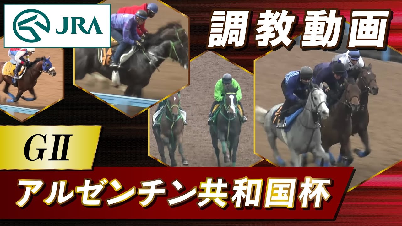 【調教動画】2023年 アルゼンチン共和国杯｜JRA公式