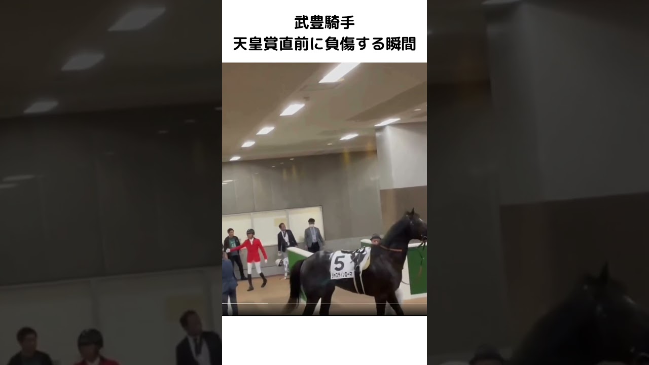 天皇賞　武豊騎手　負傷する瞬間