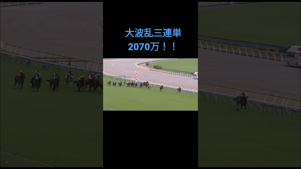【競馬】2015年ヴィクトリアマイル ストレイトガール  ケイアイエレガント ミナレット #競馬 #ヴィクトリアマイル #戸崎圭太
