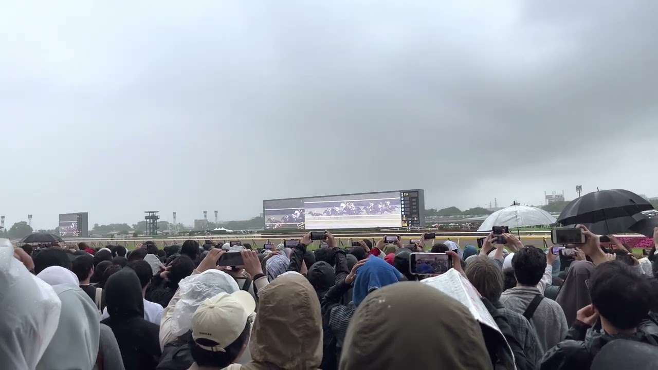 ヴィクトリアマイル 2023 現地 4K