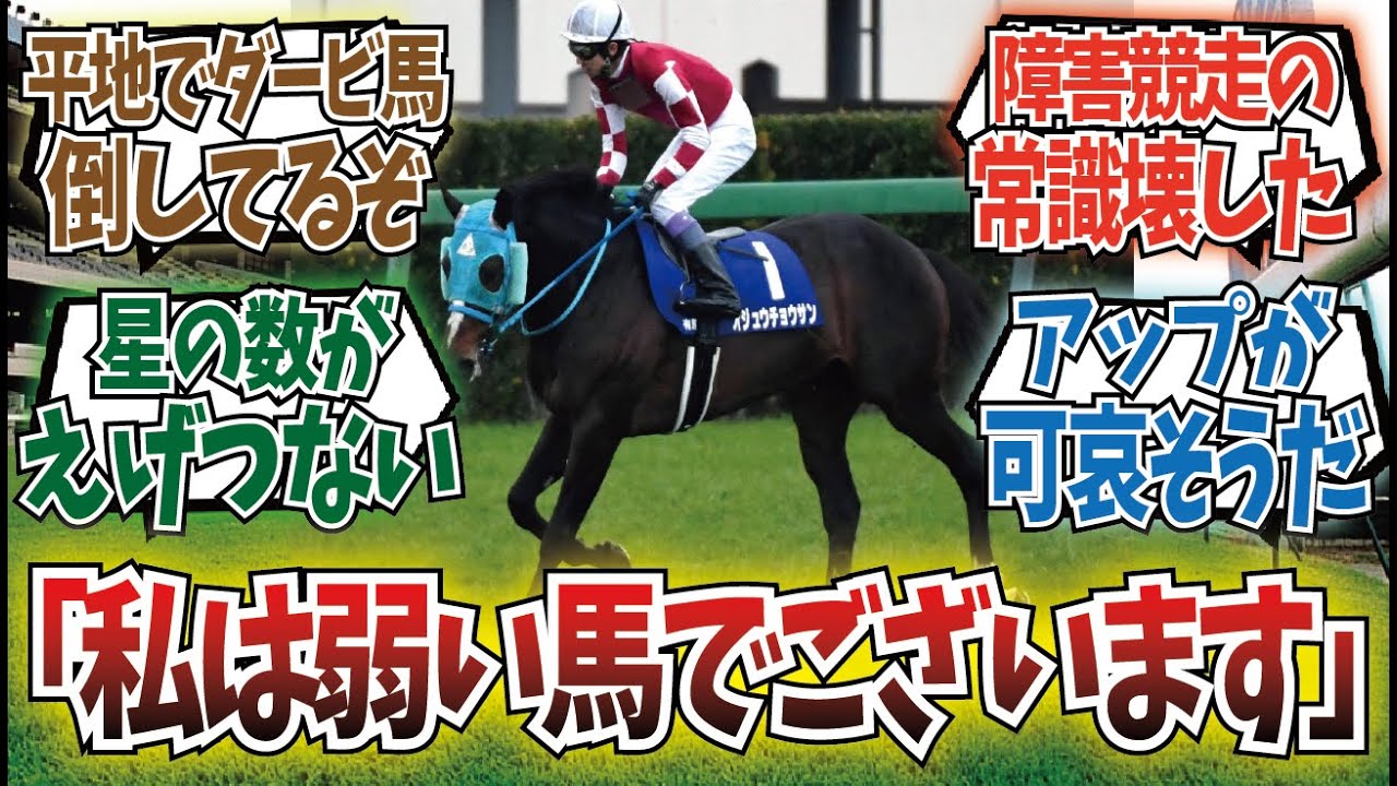「私は有馬記念で着外になった弱い馬でございます」に対するみんなの反応集
