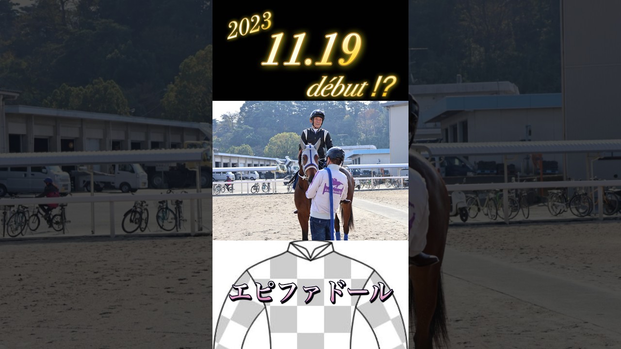 【インゼル】エピファ産駒たち/エピファドールもうじきデビュー⁉︎ #一口馬主
