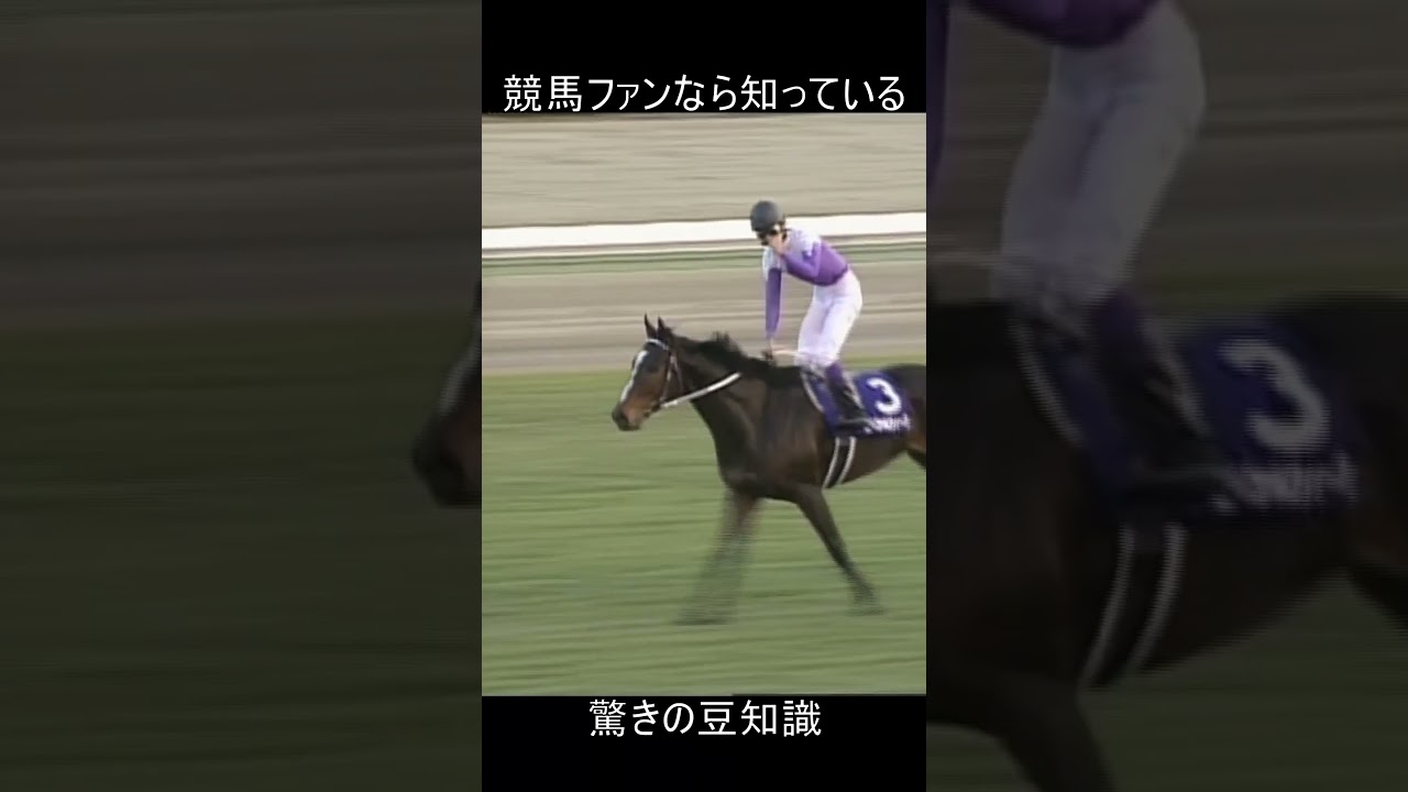 競馬の豆知識　1999年の有馬記念で起こった奇跡　#shorts #競馬 #豆知識