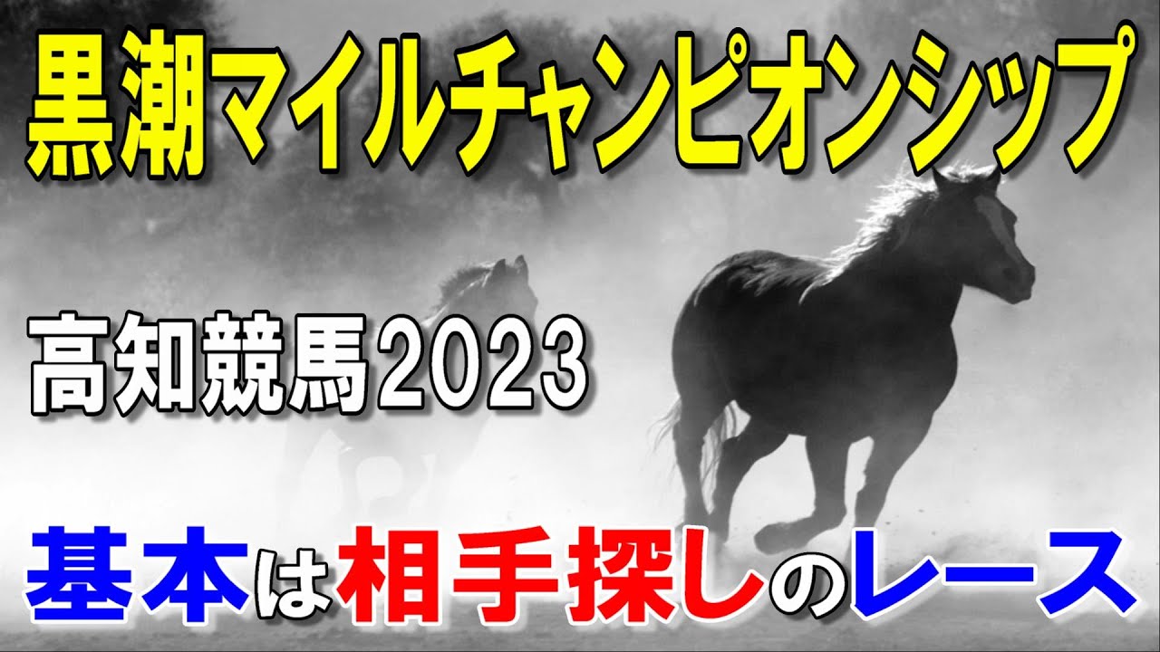 黒潮マイルチャンピオンシップ２０２３【高知競馬予想】イグナイターに迫った馬の相手探しのレース！
