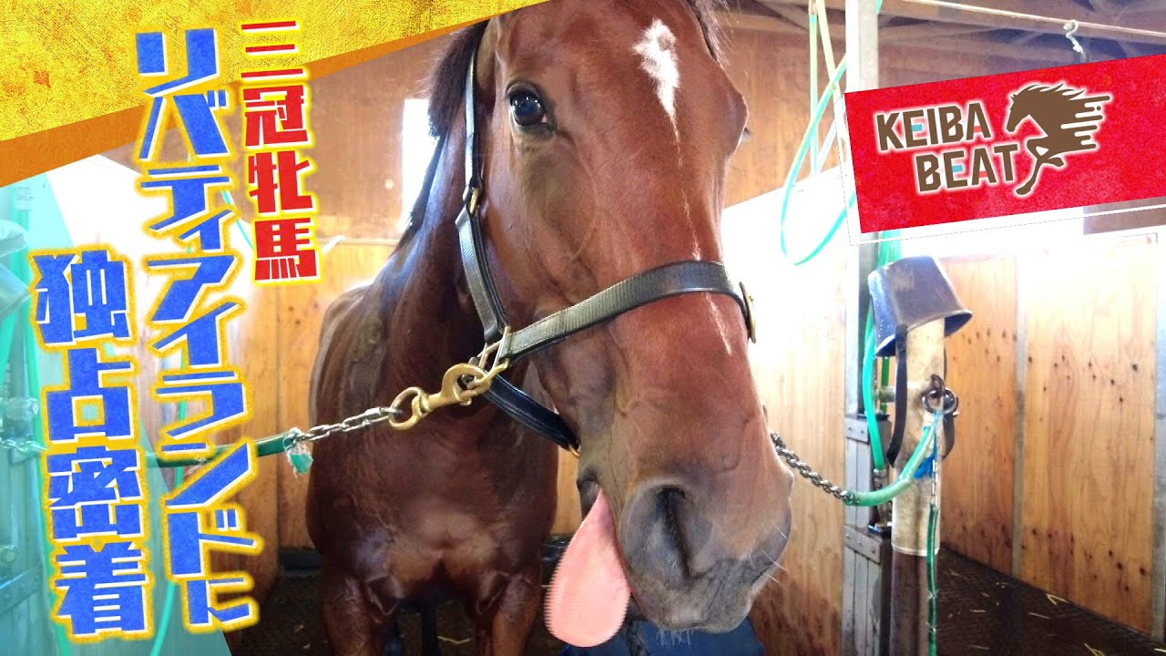 ジャパンカップ参戦！「三冠牝馬・リバティアイランドの秋休み」