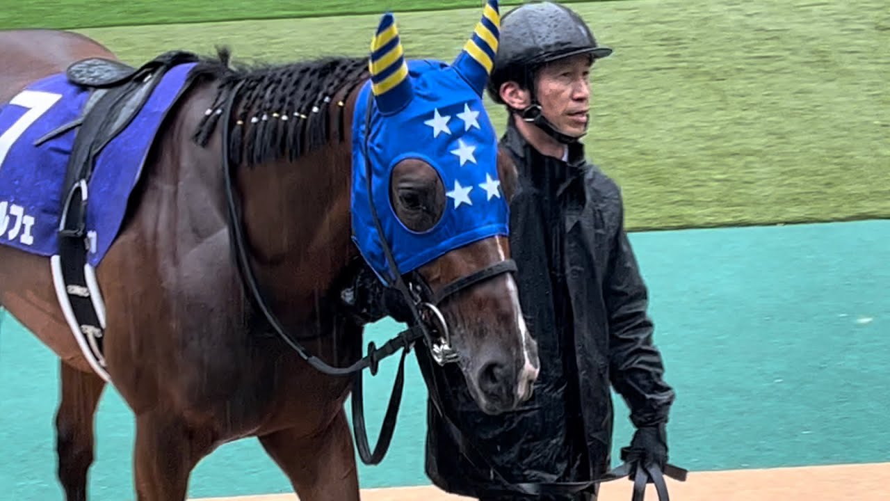 【NHKマイルカップ2023】勝負服柄の派手なメンコ、たてがみを結って、尻尾に星⭐️、いつもよりオシャレ度アップなオールパルフェ