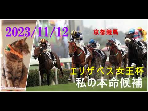 2023/11/12　京都競馬　エリザベス女王杯（ＧⅠ）私の本命候補