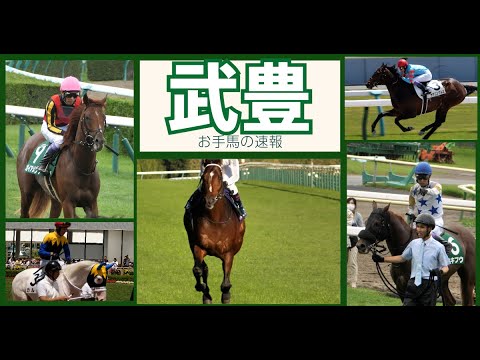 【武豊】再来週マイルＣＳ週に向けてのお手馬たちの動向 ガイアメンテ、ヤマニンウルス、ヤマニンゼスト、カルパ（ソダシ半弟）、セキフウ、ドウデュース