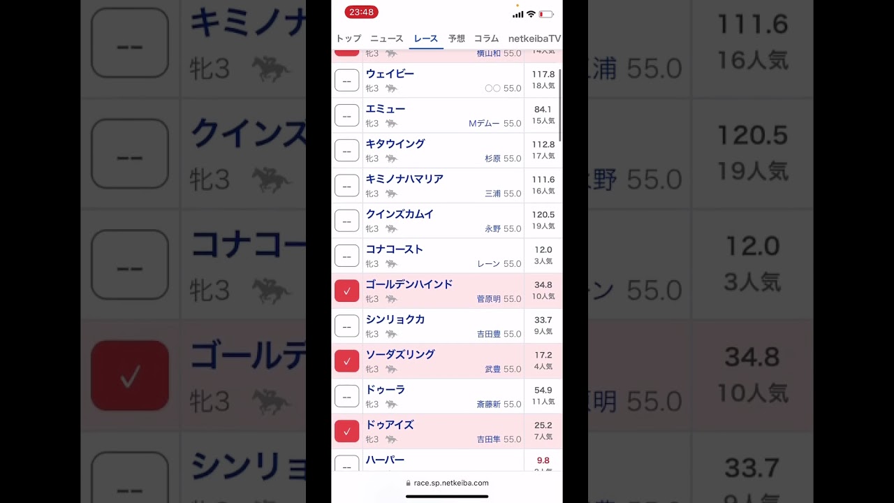 オークス2023 競馬予想 自由気ままにららら競馬