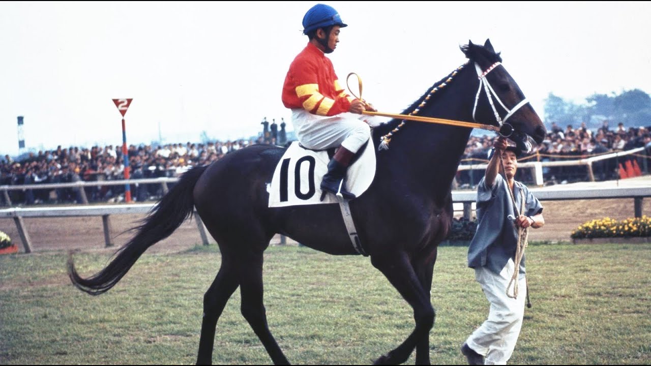 第３４回　東京優駿（日本ダービー）　アサデンコウ　牡３　57　増沢末夫　1967.5.14　　出走馬：ヤマニンカツプ、シバフジ、サトヒカル、リユウズキ、ムネヒサ、タフネス、フイニイ、アラジン他