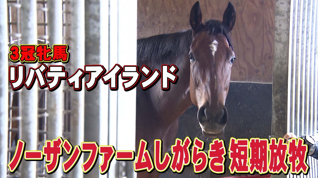 【11.26ジャパンカップ特集】３冠牝馬リバティアイランド　ノーザンファームしがらきでの放牧の様子！