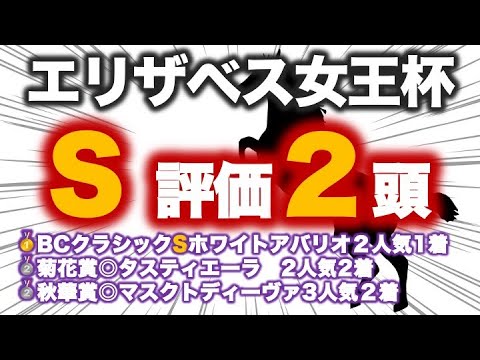 エリザベス女王杯2023 予想　人気５頭を徹底分析！馬場傾向から注目はこの２頭だ！！