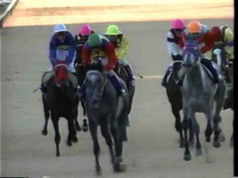第３３回　有馬記念（グランプリ）（ＧⅠ）　オグリキャップ　1988.12.25　　出走馬：タマモクロス、サッカーボーイ、スーパークリーク、メジロデュレン、レジェンドテイオー他　　実況：堺正幸