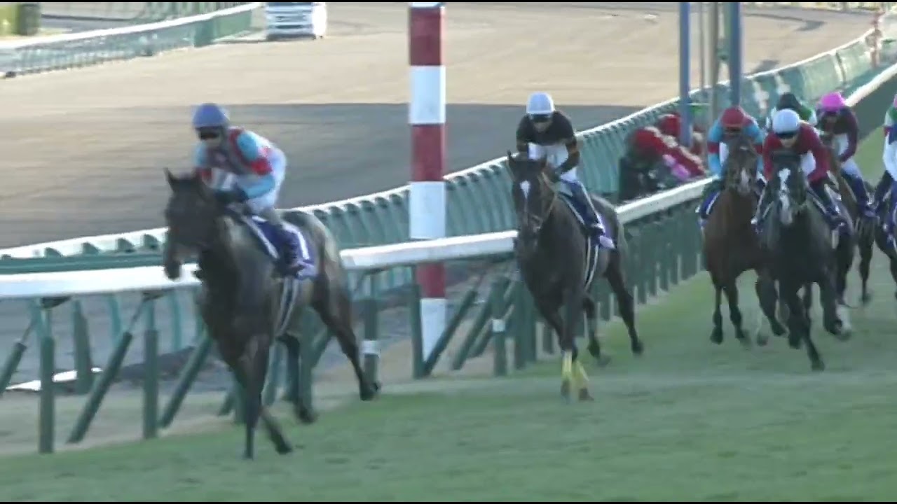 キタサンブラック 2016年 第61回有馬記念(GI) (優勝馬：サトノダイヤモンド)