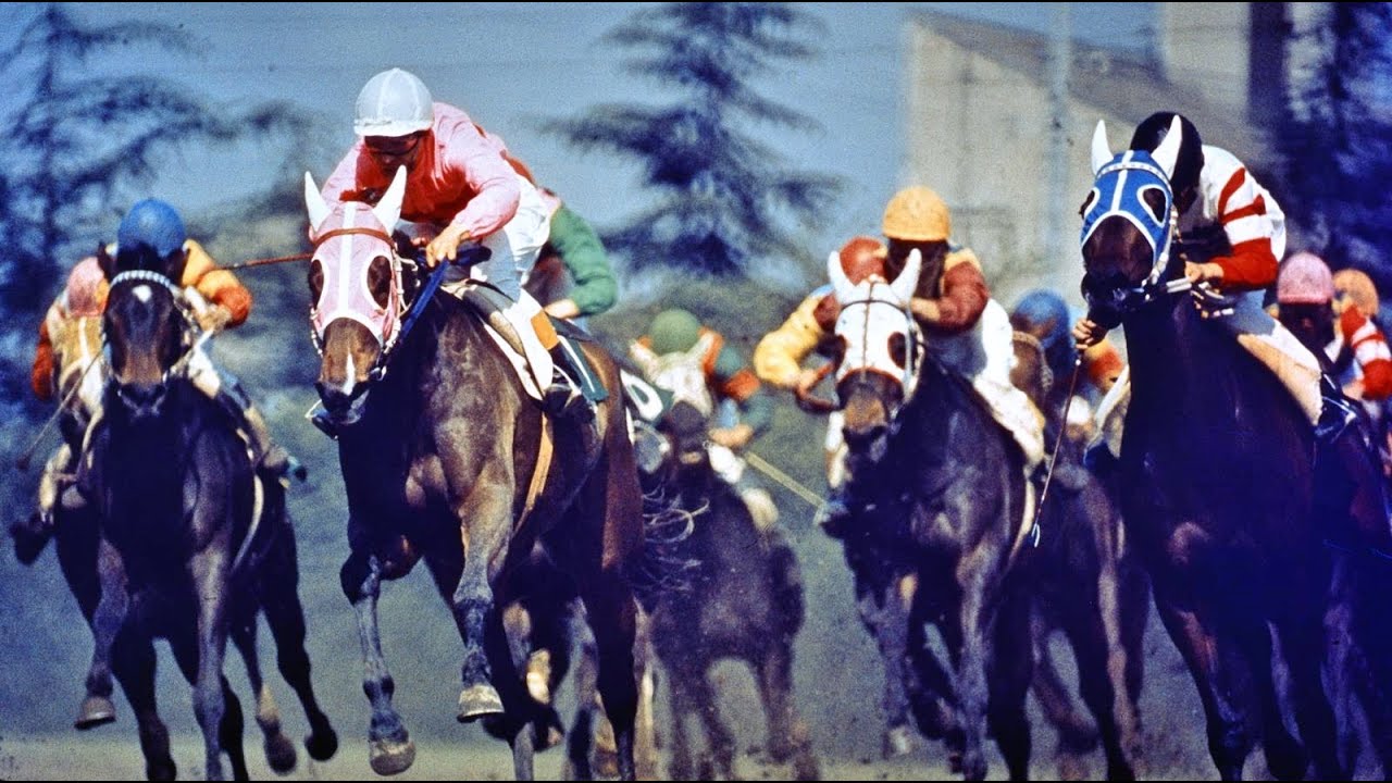 第３１回　桜花賞　ナスノカオリ　牝３　55　嶋田功　1971.4.18　　出走馬： ホマレマツ 、コマツモアー、サニーワールド 、タカラローズ、エリモジェニー、ランドパス、ミスアリシドン他