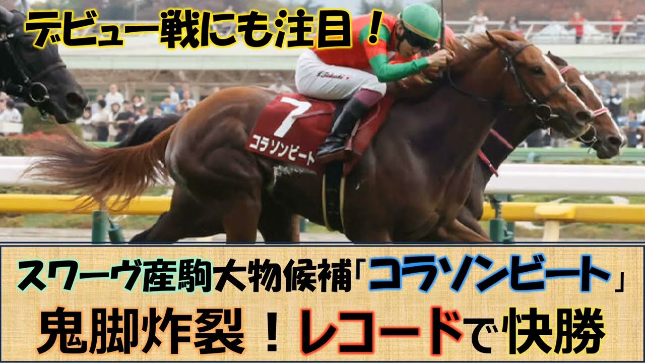 【一口馬主】スワーヴリチャード産駒が止まらない！「コラソンビート」京王杯２歳Sをレコード勝利☆