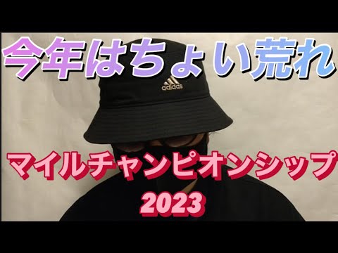 【マイルチャンピオンシップ2023】セリフォス？ナミュール？シュネルマイスター？どの馬が勝つ？どうなるマイルCS2023！