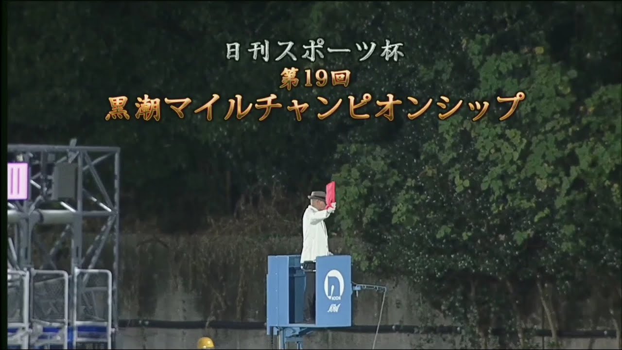 2023 11/5 高知競馬 7R 第19回 黒潮マイルチャンピオンシップ 勝ち馬 ガルボマンボ
