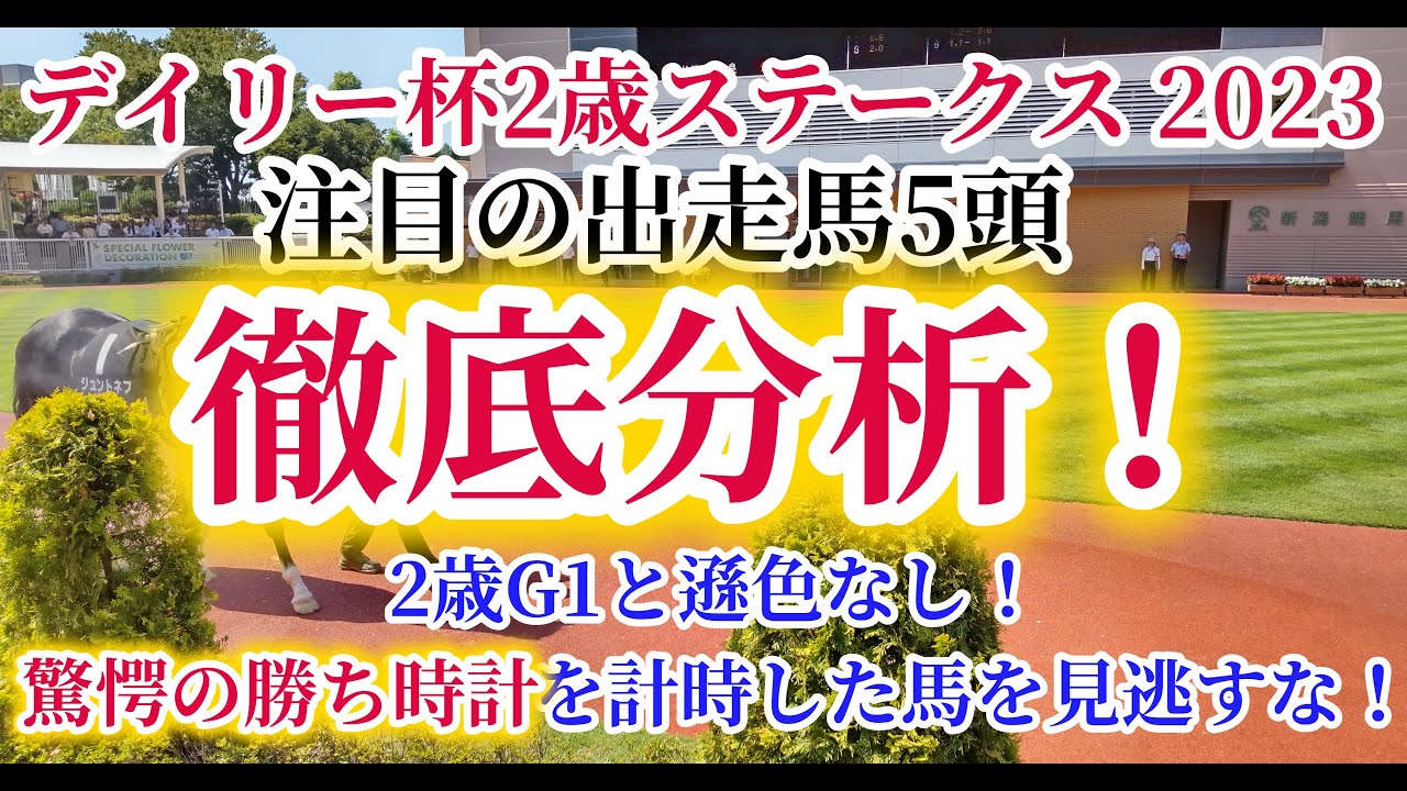 【デイリー杯2歳ステークス2023】好メンバーで予想が難解な2歳重賞。馬券的中のポイントはレース回顧と時計比較！デイリー杯2歳Sの注目の出走予定馬を徹底考察！